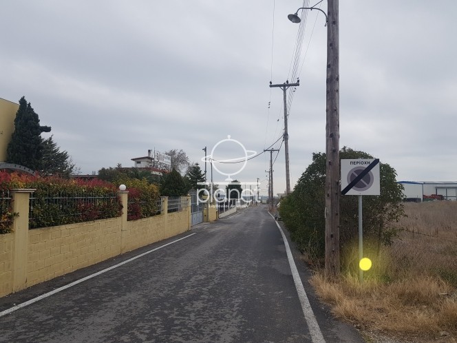 Αγροτεμάχια 11.000 τ.μ. προς πώληση, Λάκκωμα Καλλικράτειας
