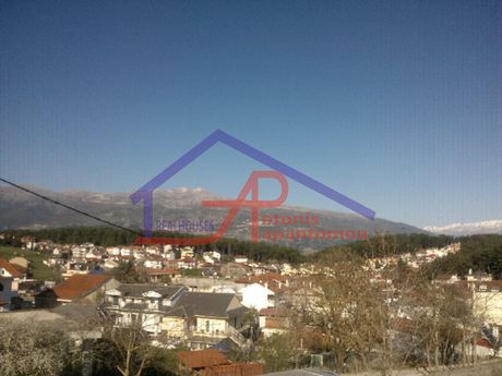 Αγροτεμάχια 9.300 τ.μ. για πώληση