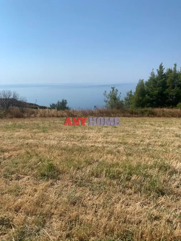 Αγροτεμάχια 11.000 τ.μ. πρός πώληση, Χαλκιδική, Κασσάνδρα