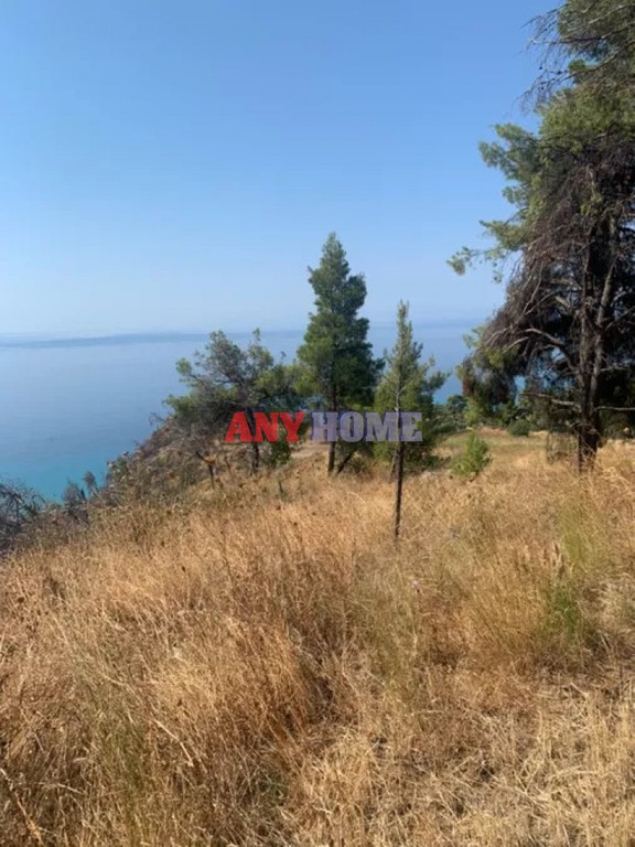 Αγροτεμάχια 11.000 τ.μ. πρός πώληση, Χαλκιδική, Κασσάνδρα
