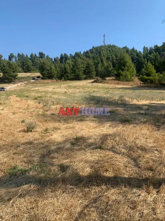 Αγροτεμάχια 11.000 τ.μ. πρός πώληση, Χαλκιδική, Κασσάνδρα