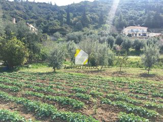 Οικόπεδο 1.017 τ.μ. για πώληση, Αχαΐα, Ρίο-thumb-18