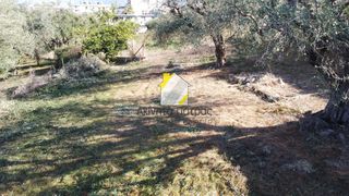 Οικόπεδο 1.017 τ.μ. για πώληση, Αχαΐα, Ρίο-thumb-5