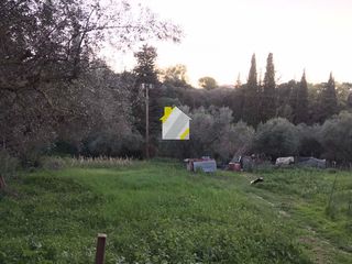 Οικόπεδο 1.017 τ.μ. για πώληση, Αχαΐα, Ρίο-thumb-22