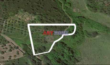 Parcel 4.946sqm for sale-Stagiron - Akanthou » Koumitsa
