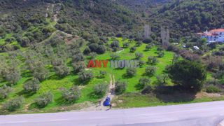 Αγροτεμάχια 9.100 τ.μ. για πώληση, Χαλκιδική, Σιθωνία-thumb-3