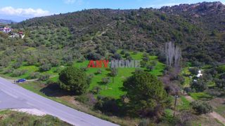 Αγροτεμάχια 9.100 τ.μ. για πώληση, Χαλκιδική, Σιθωνία-thumb-16