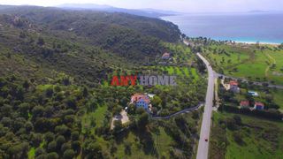 Αγροτεμάχια 9.100 τ.μ. για πώληση, Χαλκιδική, Σιθωνία-thumb-6