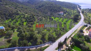 Αγροτεμάχια 9.100 τ.μ. για πώληση, Χαλκιδική, Σιθωνία-thumb-1
