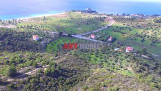 Αγροτεμάχια 9.100 τ.μ. για πώληση, Χαλκιδική, Σιθωνία-thumb-8