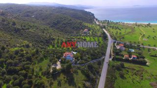 Αγροτεμάχια 9.100 τ.μ. για πώληση, Χαλκιδική, Σιθωνία-thumb-4