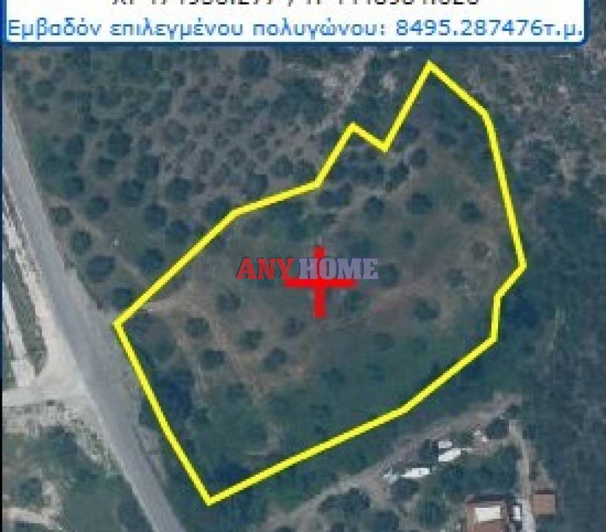 Αγροτεμάχια 9.100 τ.μ. για πώληση, Χαλκιδική, Σιθωνία