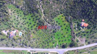 Αγροτεμάχια 9.100 τ.μ. για πώληση, Χαλκιδική, Σιθωνία-thumb-14