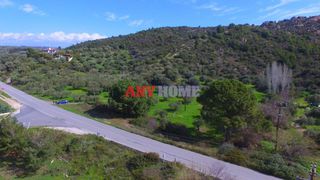 Αγροτεμάχια 9.100 τ.μ. για πώληση, Χαλκιδική, Σιθωνία-thumb-11