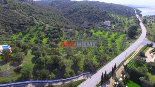 Αγροτεμάχια 9.100 τ.μ. για πώληση, Χαλκιδική, Σιθωνία-thumb-2