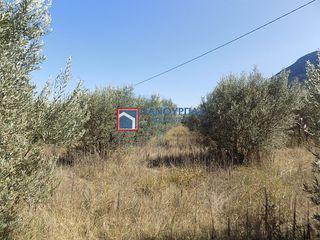 Αγροτεμάχια 7.029 τ.μ. για πώληση, Φθιώτιδας, Υπάτη-thumb-6
