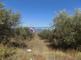 Parcel 7.029 sqm for sale