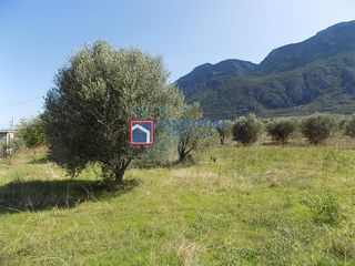 Αγροτεμάχια 7.029 τ.μ. για πώληση, Φθιώτιδας, Υπάτη-thumb-10