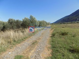 Αγροτεμάχια 7.029 τ.μ. για πώληση, Φθιώτιδας, Υπάτη-thumb-5