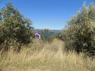 Αγροτεμάχια 7.029 τ.μ. για πώληση, Φθιώτιδας, Υπάτη-thumb-1