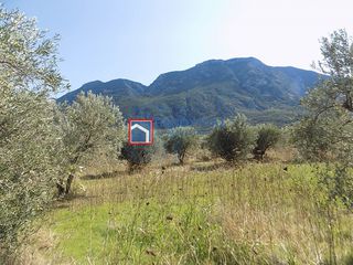 Αγροτεμάχια 7.029 τ.μ. για πώληση, Φθιώτιδας, Υπάτη-thumb-12
