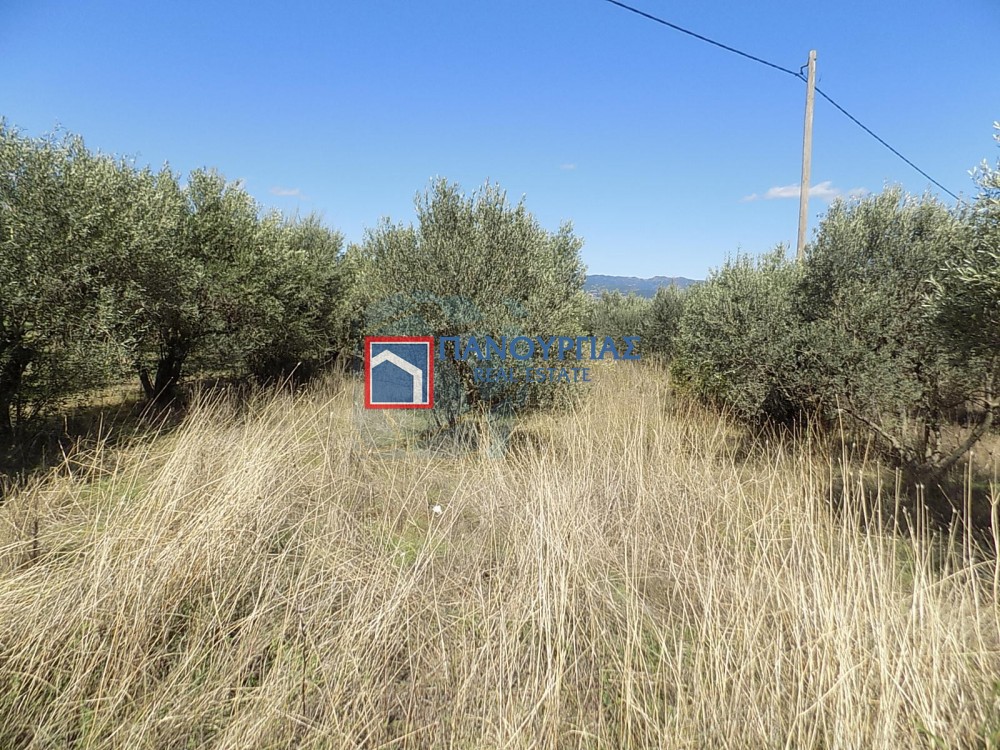 Αγροτεμάχια 7.029 τ.μ. πρός πώληση, Φθιώτιδας, Υπάτη