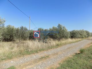 Αγροτεμάχια 7.029 τ.μ. για πώληση, Φθιώτιδας, Υπάτη-thumb-19