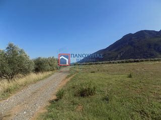Αγροτεμάχια 7.029 τ.μ. για πώληση, Φθιώτιδας, Υπάτη-thumb-21