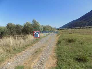 Αγροτεμάχια 7.029 τ.μ. για πώληση, Φθιώτιδας, Υπάτη-thumb-4