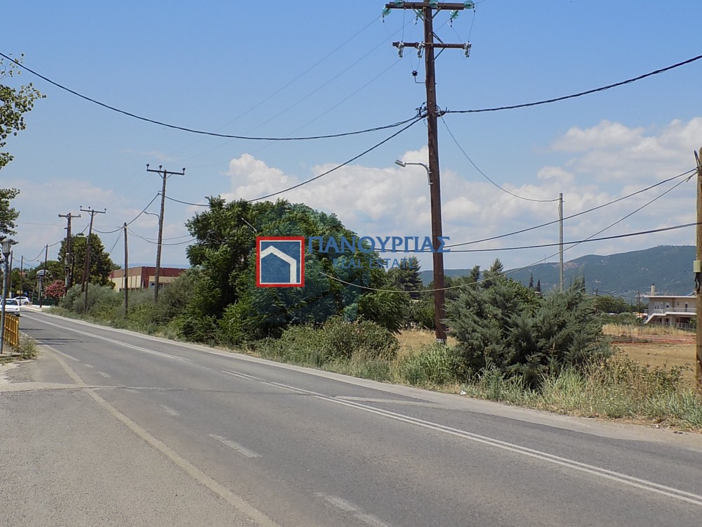 Οικόπεδο 3.565 τ.μ. πρός πώληση, Φθιώτιδας, Λειανοκλάδι