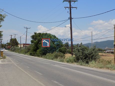 Οικόπεδο 3.565τ.μ. για πώληση-Λειανοκλάδι » Αμούρι