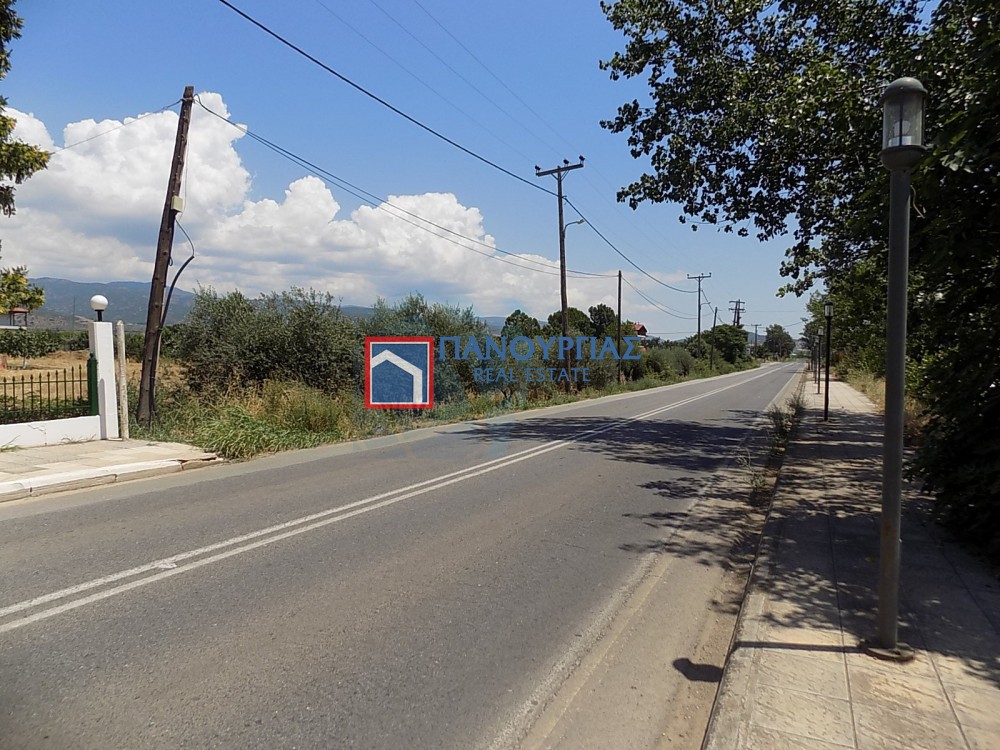 Οικόπεδο 3.565 τ.μ. πρός πώληση, Φθιώτιδας, Λειανοκλάδι