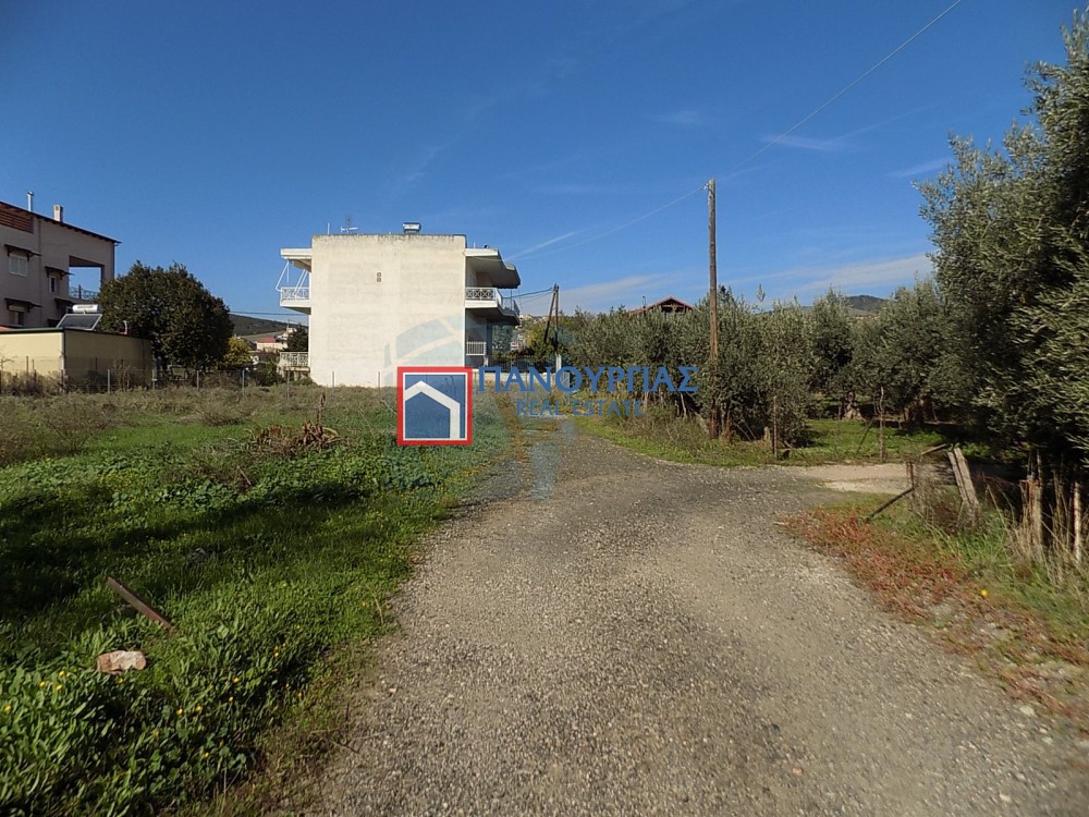 Οικόπεδο 289 τ.μ. πρός πώληση, Φθιώτιδας, Λαμία