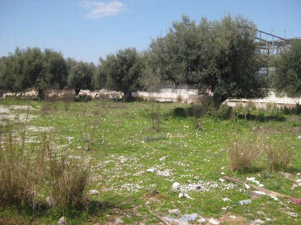 Οικόπεδο 4.000 τ.μ. προς πώληση, Ανθείας