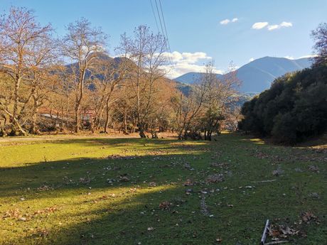 Οικόπεδο 2.300 τ.μ. για πώληση