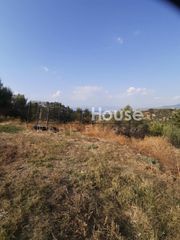 Οικόπεδο 4.000 τ.μ. για πώληση, Αχαΐα, Παραλία-thumb-2