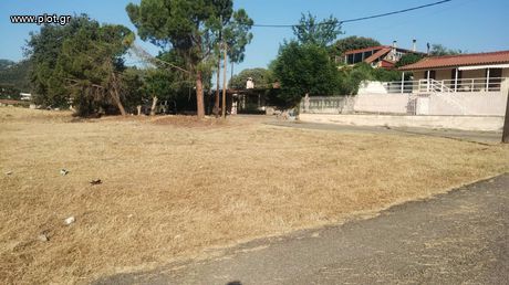 Οικόπεδο 2.000 τ.μ. για πώληση