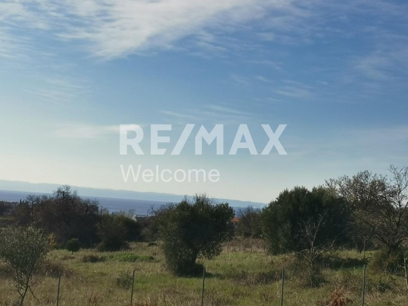 Αγροτεμάχια 3.321 τ.μ. πρός πώληση, Χαλκιδική, Σιθωνία