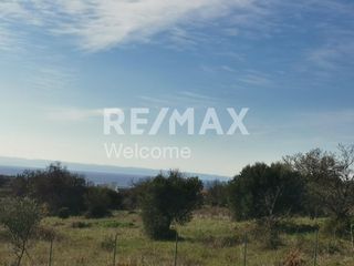 Αγροτεμάχια 3.321 τ.μ. για πώληση