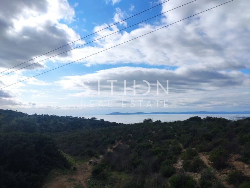 Αγροτεμάχια 49.497 τ.μ. προς πώληση, Κέντρο Τορώνης