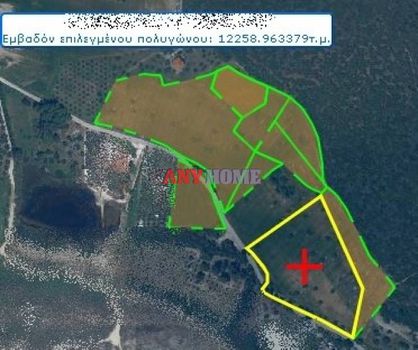 Αγροτεμάχια 45.000 τ.μ. για πώληση