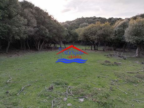 Parcel 8.900sqm for sale-Samothraki » Katsampas