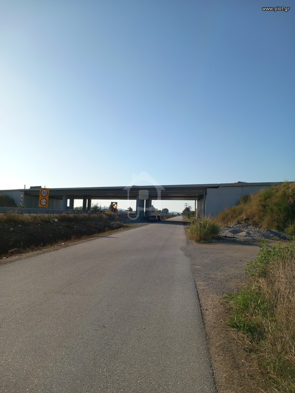 Αγροτεμάχια 8.780 τ.μ. προς πώληση, Κέντρο Βασιλικής
