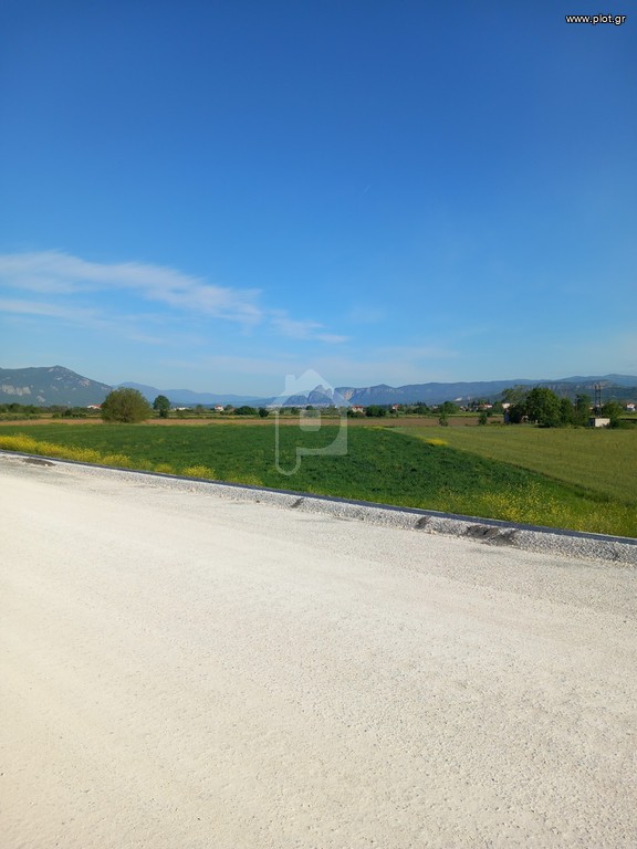Αγροτεμάχια 8.780 τ.μ. πρός πώληση, Ν. Τρικάλων, Βασιλική