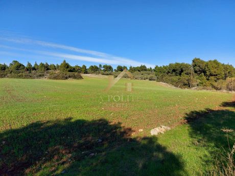 Parcel 6.000sqm for sale-Stagiron - Akanthou » Koumitsa