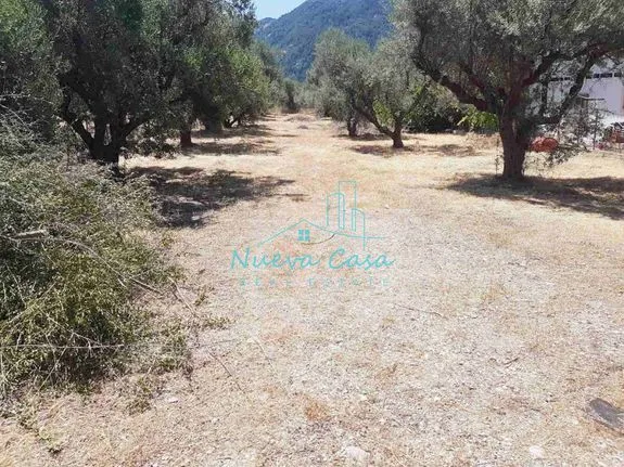 Parcel 1.250 sqm for sale, Achaia, Patra