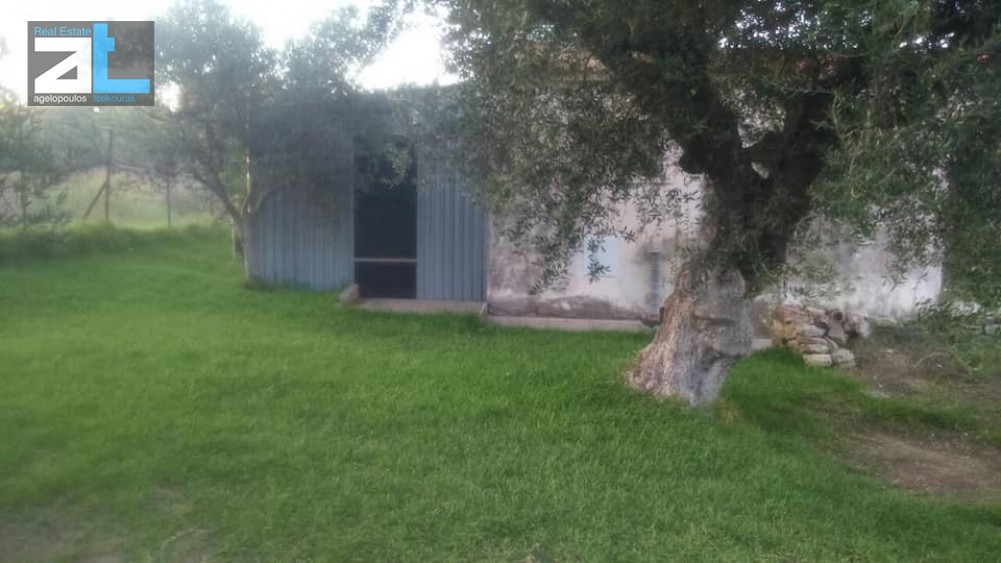 Μονοκατοικία 60 τ.μ. πρός πώληση, Αχαΐα, Ωλένια