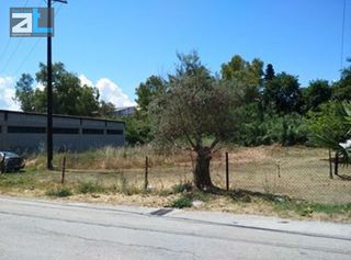 Οικόπεδο 1.200 τ.μ. για πώληση, Αχαΐα, Πάτρα-thumb-6