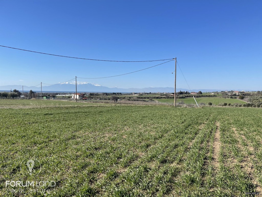 Αγροτεμάχια 249.000 τ.μ. προς πώληση, Επανομή