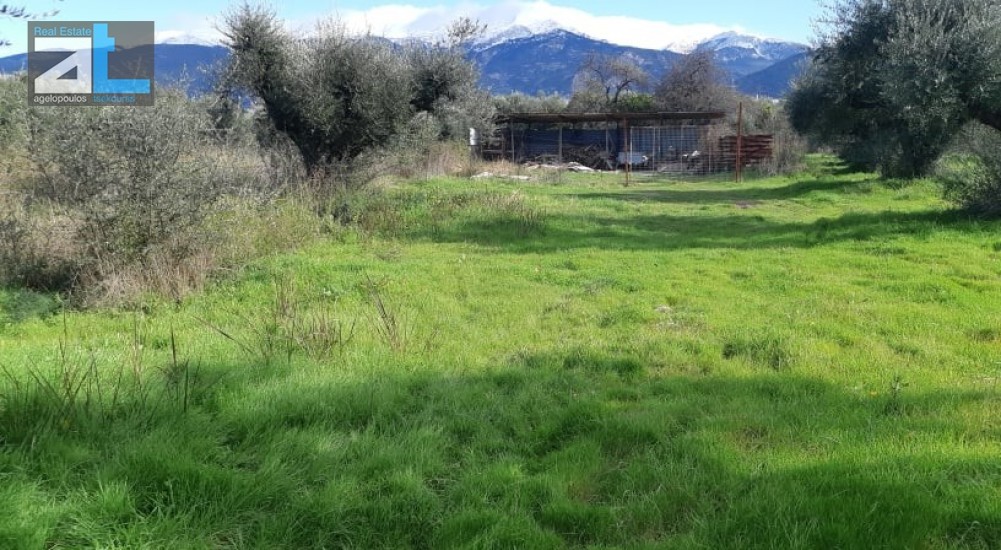 Οικόπεδο 718 τ.μ. προς πώληση, Τ.Ε.Ι. Πάτρας